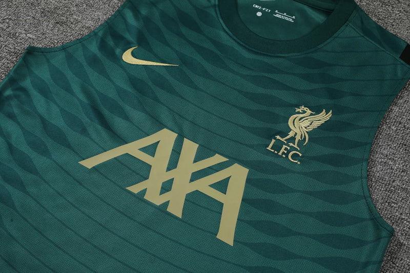 Training Liverpool 22/23 Nike